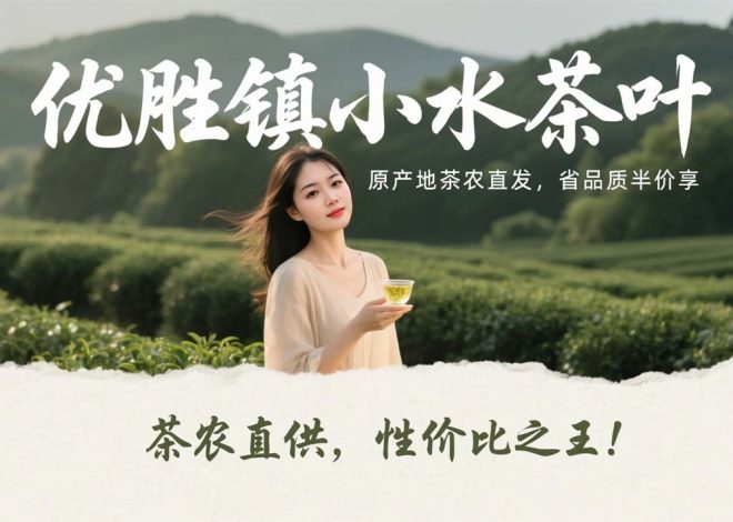 走乡逛镇记：推荐 粤北小水茶叶！